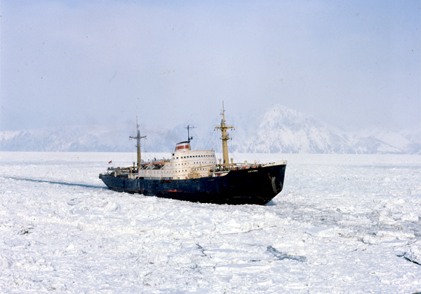 Амгуэма