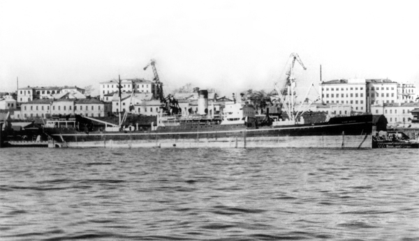 Новгород (Panama City)