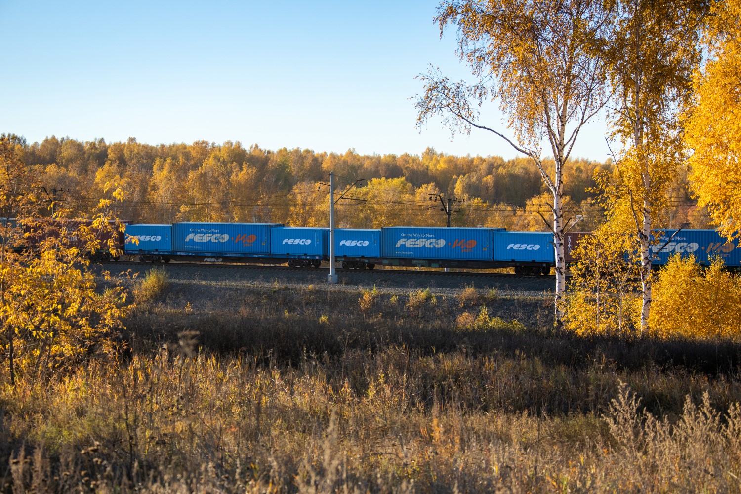 FESCO launches a regular container service from Vladivostok to the Krasnodar Territory 