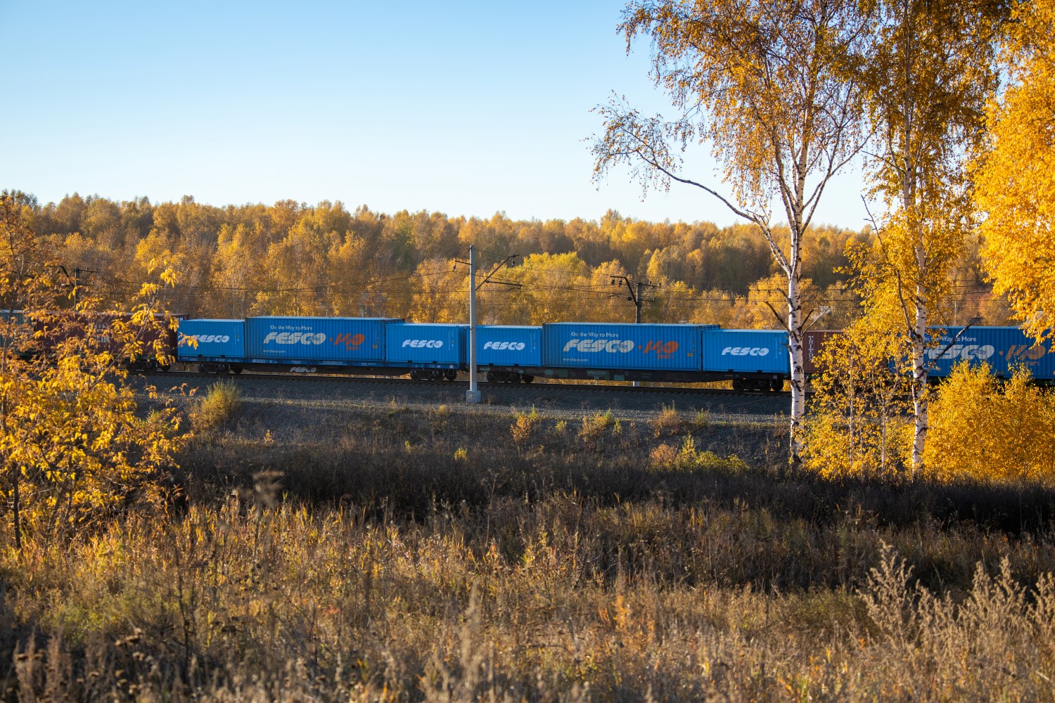 FESCO launches a regular container service from Vladivostok to the Krasnodar Territory FESCO launches a regular container service from Vladivostok to the Krasnodar Territory
