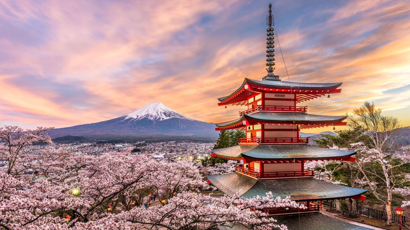 Marine transportation from Japan to Vladivostok (JTSL)