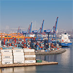 ВМТП перевалил 500 тыс. TEU с начала года, установив рекорд среди портов Дальнего Востока РФ