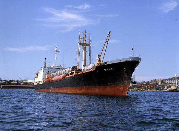Двмп форум