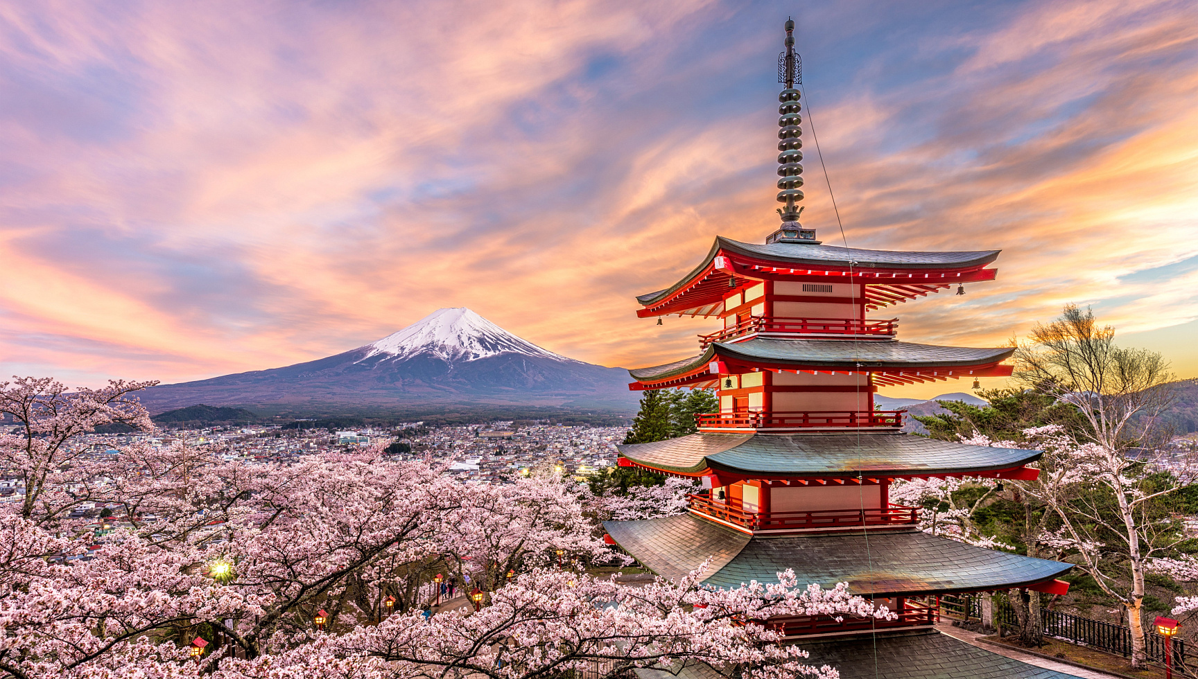 Marine transportation from Japan to Vladivostok (JTSL)